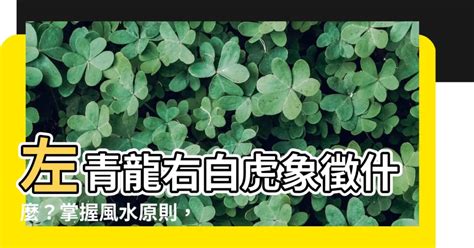 左青龍右虎意思|左龍右虎：風水師不説的